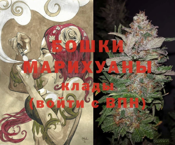 PSILOCYBIN Вязники