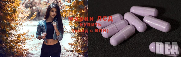 PSILOCYBIN Вязники